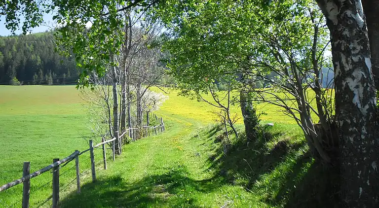 Cottage in Bad St Leonhard im Lavanttal