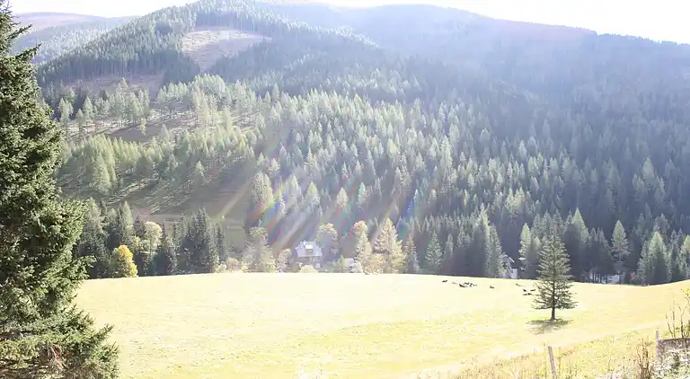 Hytte i Sankt Oswald