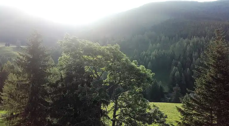 Hytte i Sankt Oswald