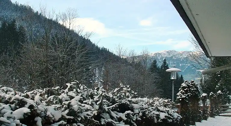 Leilighet i Untertschern