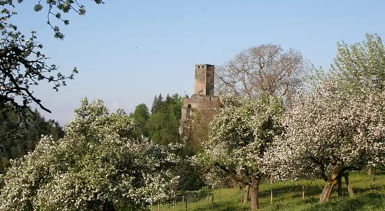Sommerhus i Liebenfels