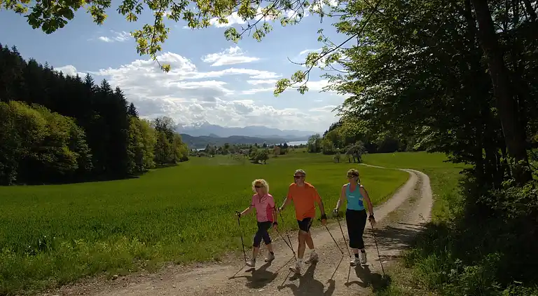 Sommerhus i Liebenfels