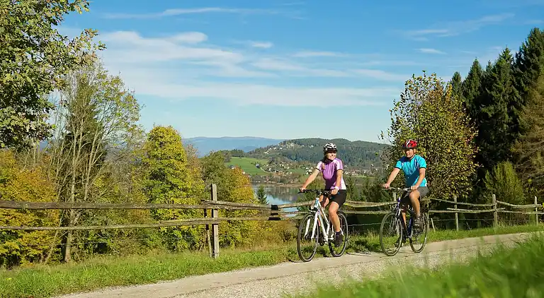 Sommerhus i Liebenfels