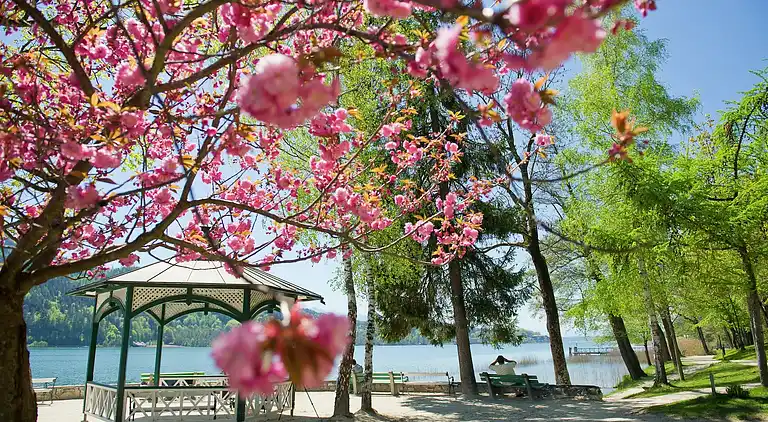 Sommerhus i Liebenfels