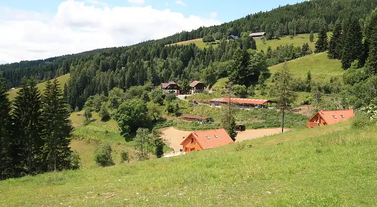 Sommerhus i Liebenfels