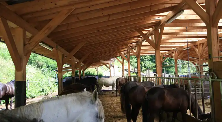 Sommerhus i Liebenfels