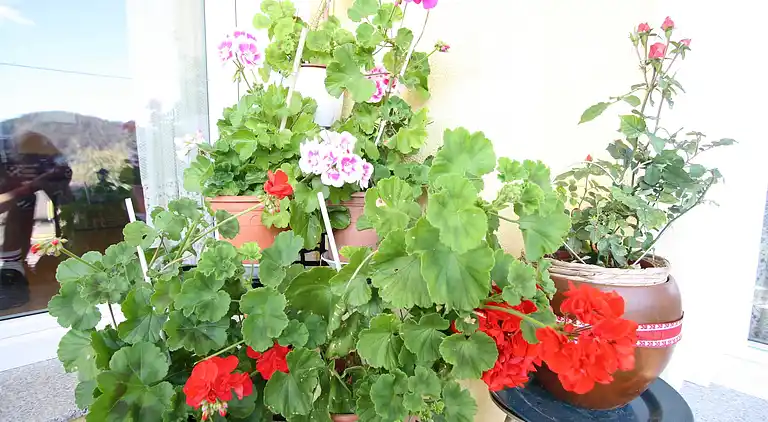 Ferielejlighed i Feldkirchen in Kärnten