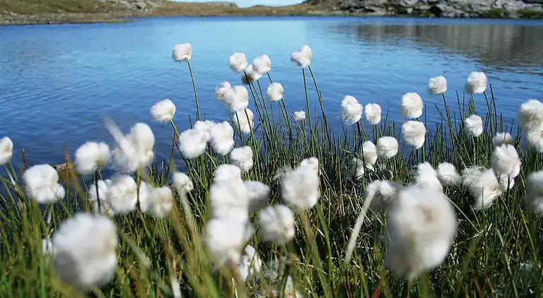 Ferielejlighed i Hermagor-Pressegger See