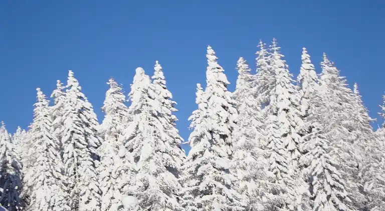 Hytte i Hermagor-Pressegger See