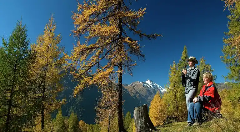 Apartment in Sonnenalpe Nassfeld