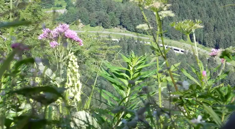 Apartment in Tröpolach