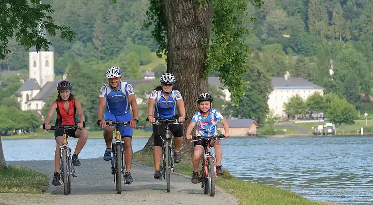 Apartment in Tröpolach