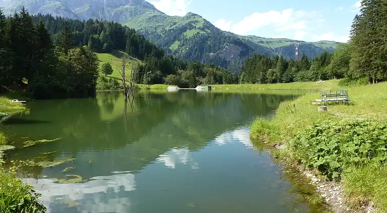 Apartment in Tröpolach