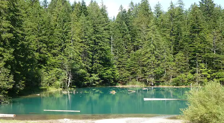 Apartment in Tröpolach