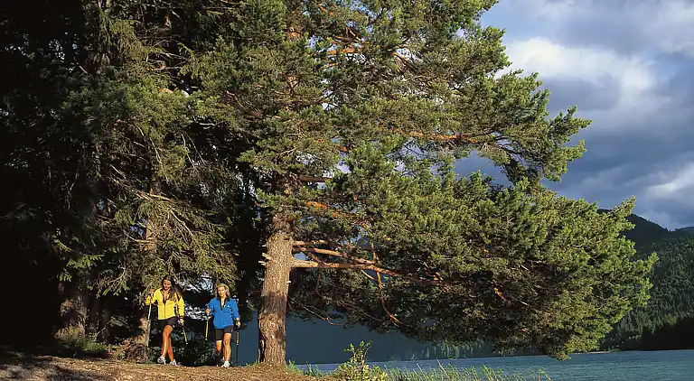 Apartment in Techendorf