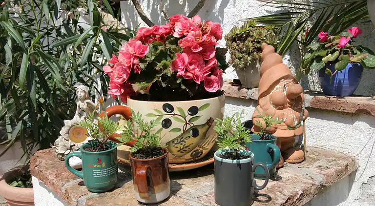 Ferielejlighed i Nörenach