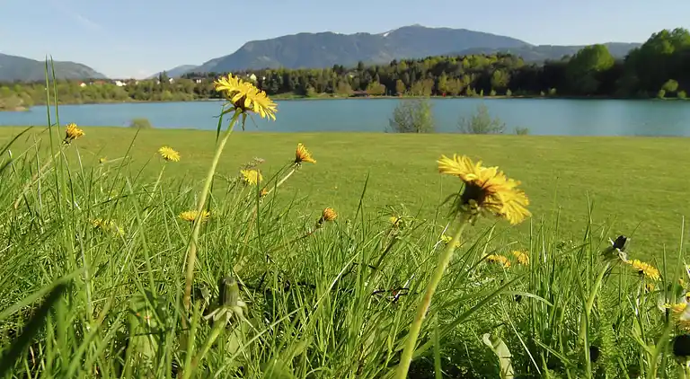 Apartment in Mühldorf