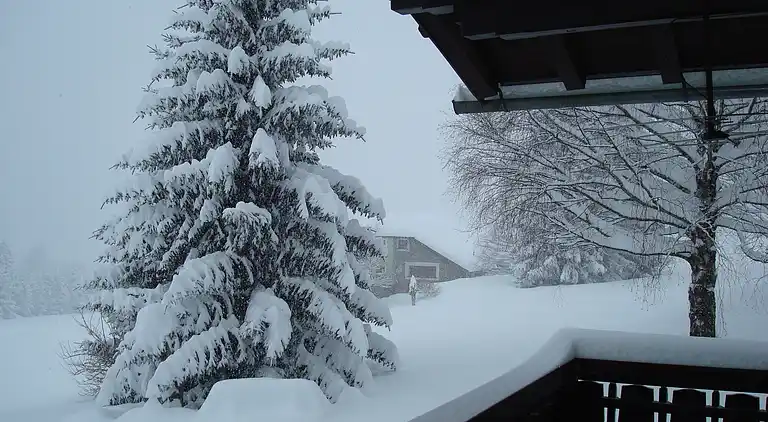 Cottage in Am Putzenhof