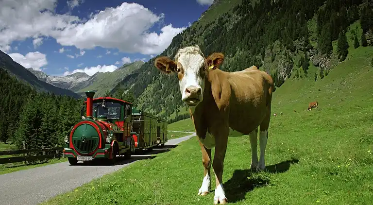 Sommerhus i Oberdorf