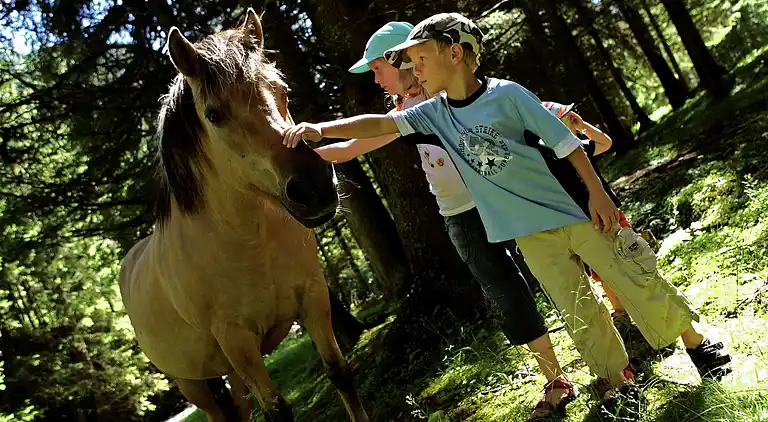 Sommerhus i Oberdorf