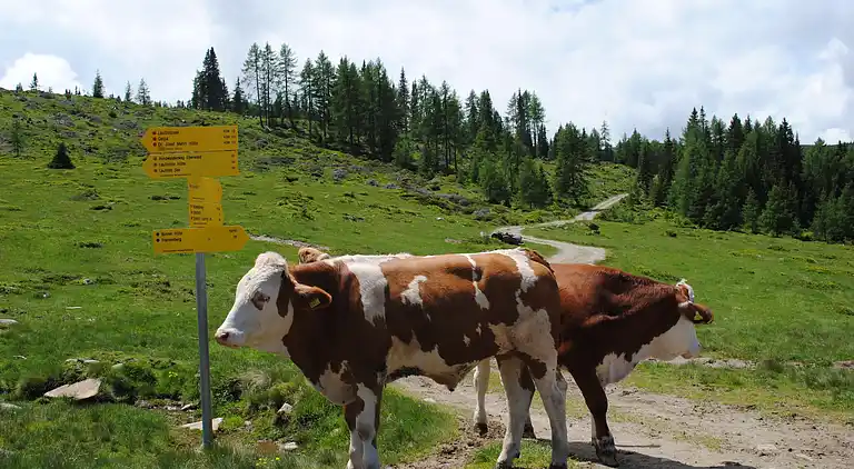 Cottage in Wirnsberg
