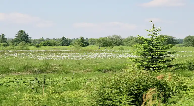 Holiday home in Europe