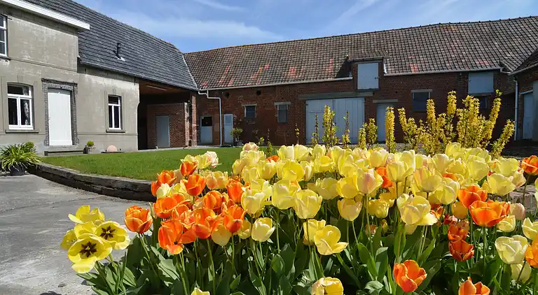 Holiday home in Zwalm