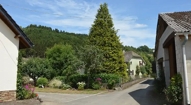 Holiday home in Reuland