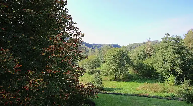 Manor house in Fauvillers