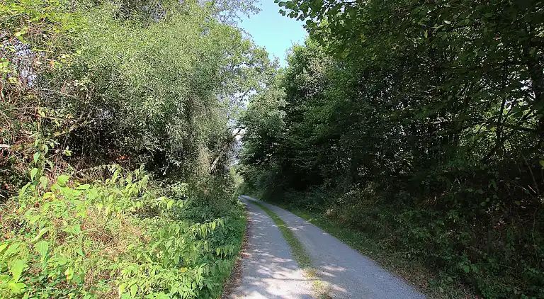 Manor house in Fauvillers