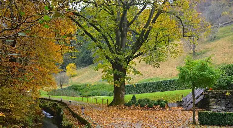 Ferienhaus in Vresse-sur-Semois