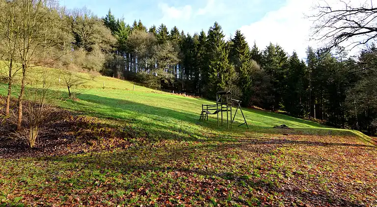 Semesterbostad i Vielsalm