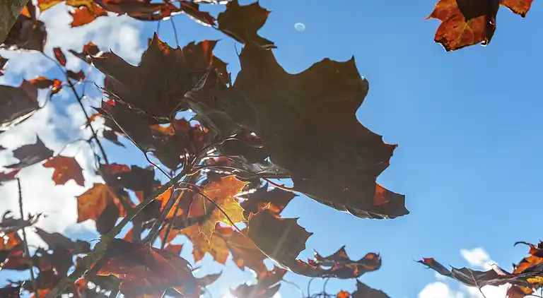 Holiday home in Marcourt