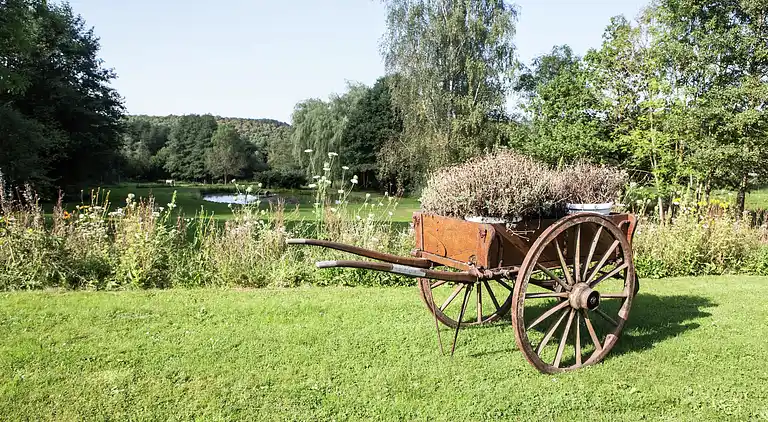 Holiday home in Mormont