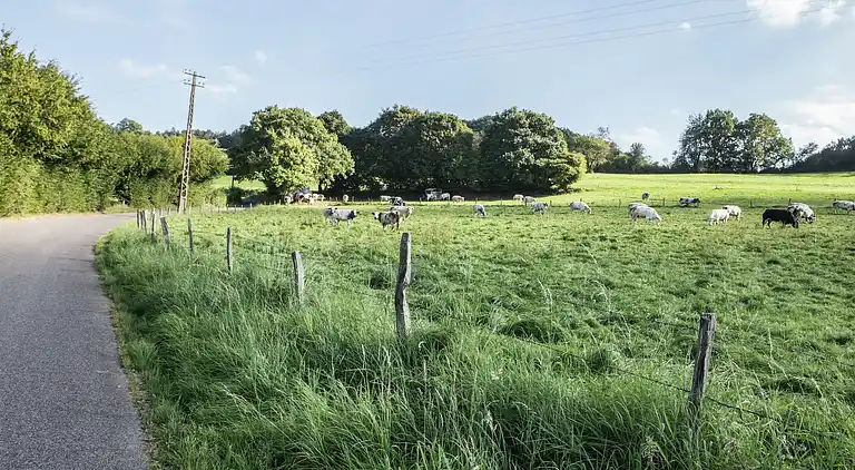 Holiday home in Mormont