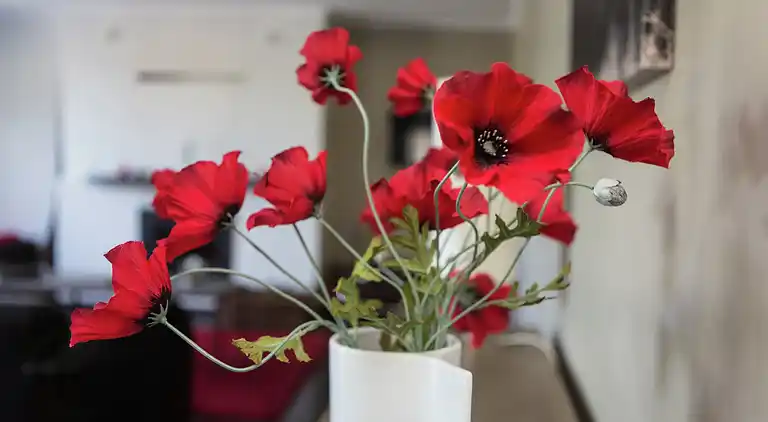 Holiday home in Mormont