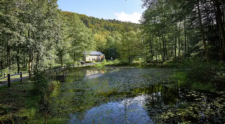 Holiday home in Sart