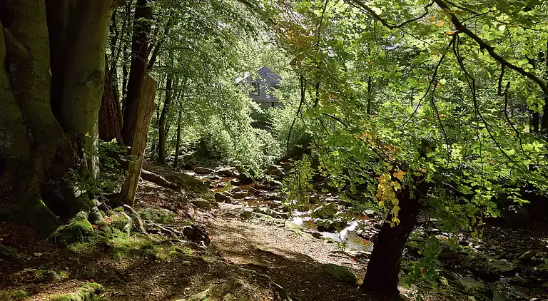 Holiday home in Sart