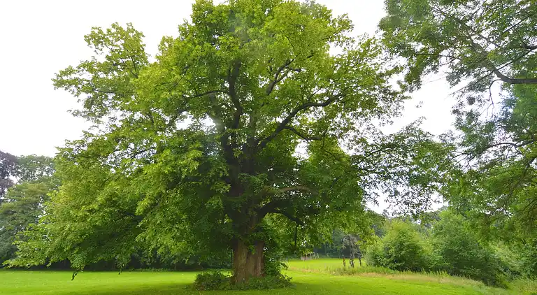 Holiday home in Haltinne