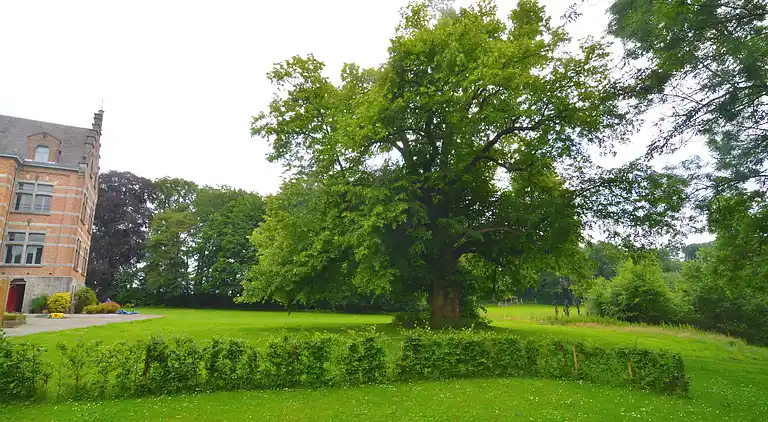 Holiday home in Haltinne