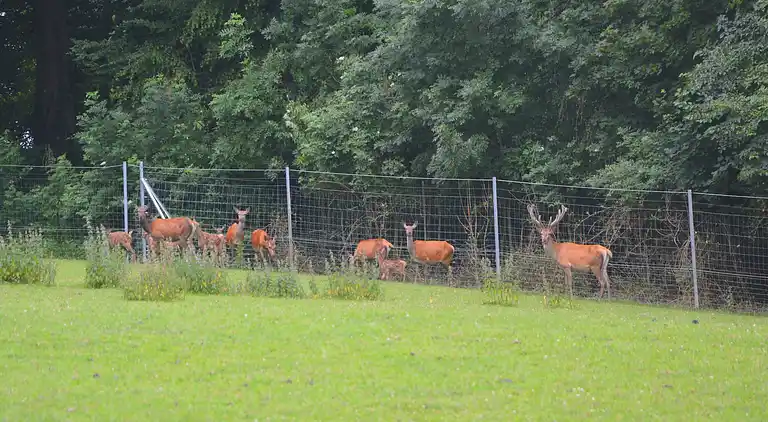 Holiday home in Haltinne