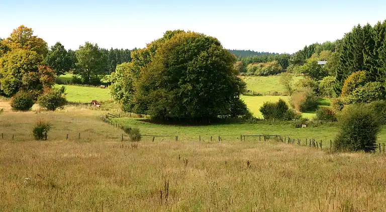 Ferienhaus in Houffalize