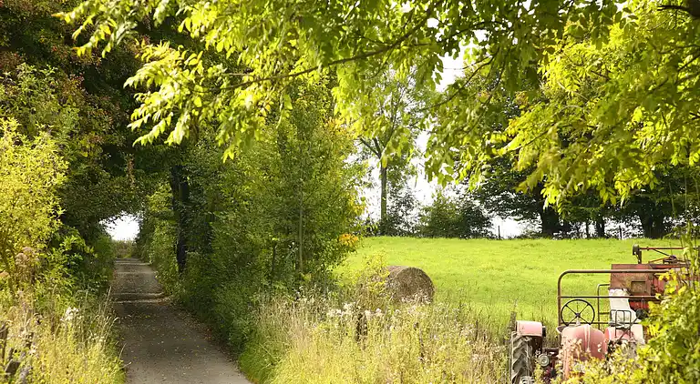 Ferienhaus in Houffalize