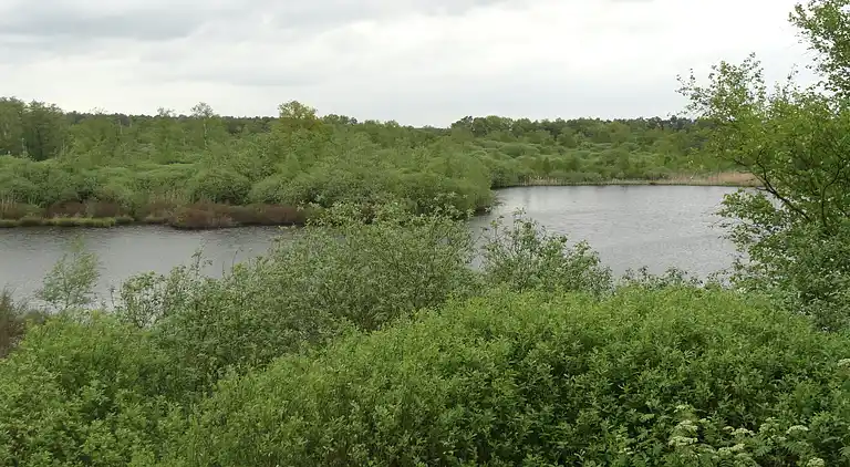 Stuga i Oud-Turnhout