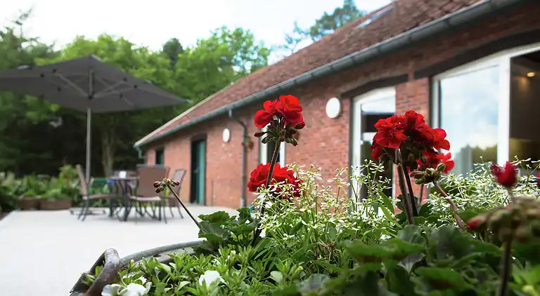 Casa vacanze in Ravels