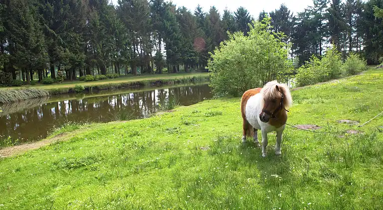 Casa vacanze in Ravels