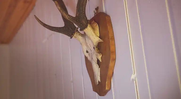 Casa vacanze in Ravels