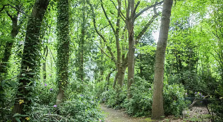 Holiday home in Westmalle