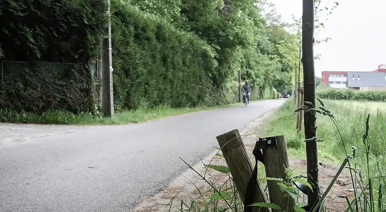 Holiday home in Westmalle