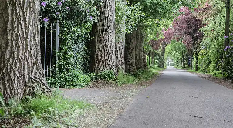 Holiday home in Westmalle